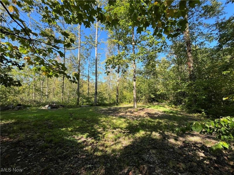 0000 Black Sea Road, Jefferson, OH 44047 Photo 4