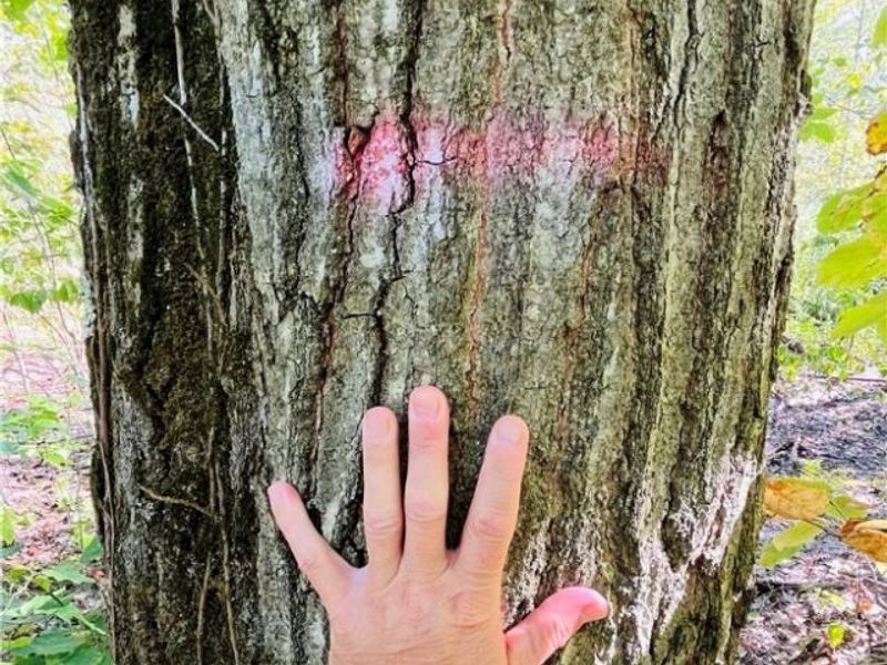 0000 Black Sea Road, Jefferson, OH 44047 Photo 6