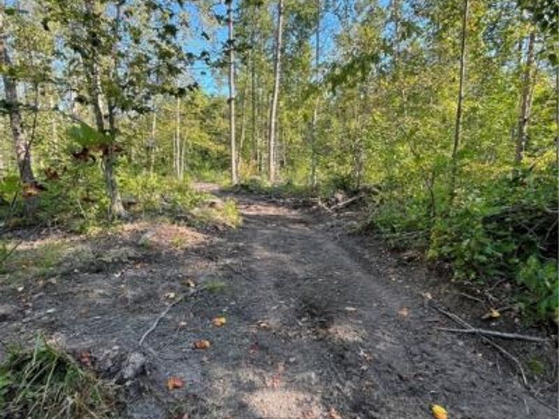 0000 Black Sea Road, Jefferson, OH 44047 Photo 9