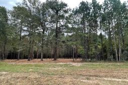 3 Hwy 45 photo 4