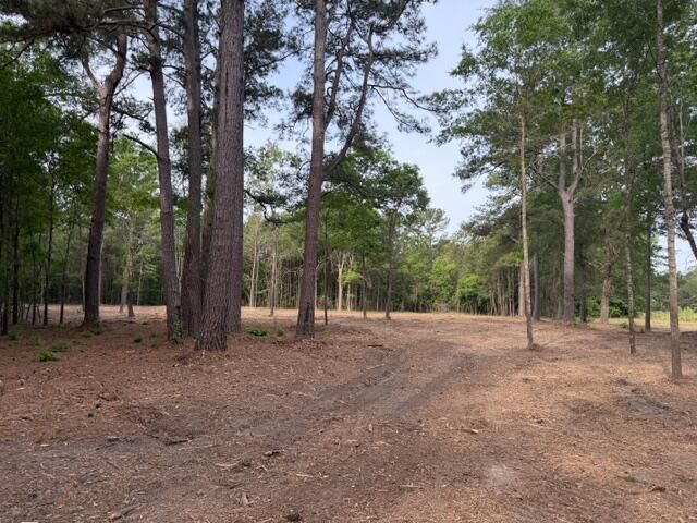 3 Hwy 45 Photo 6