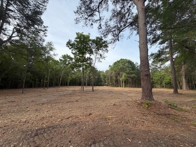 3 Hwy 45 Photo 7
