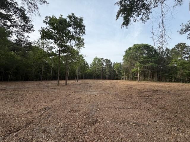 3 Hwy 45 Photo 8