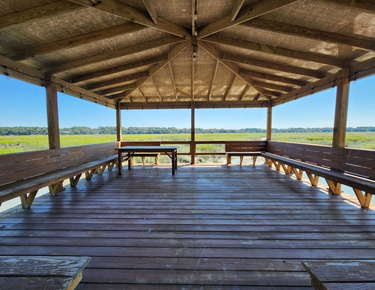 104 Palmetto Place Photo 11