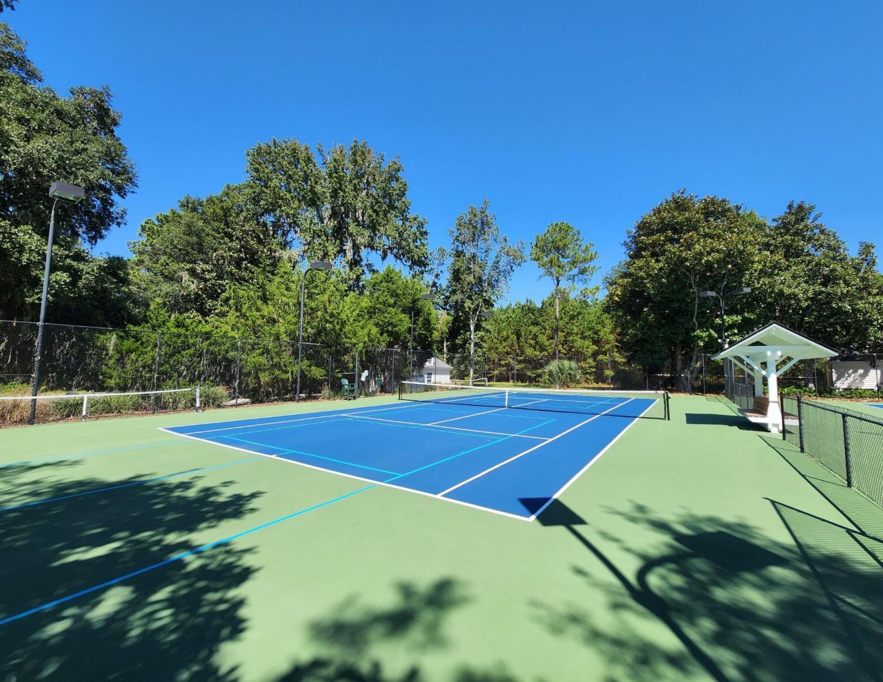 104 Palmetto Place Photo 13