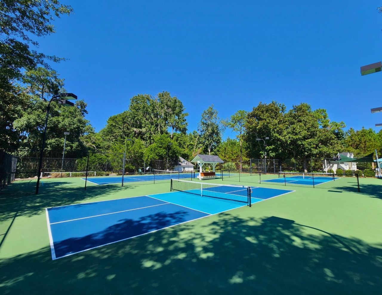 104 Palmetto Place Photo 14