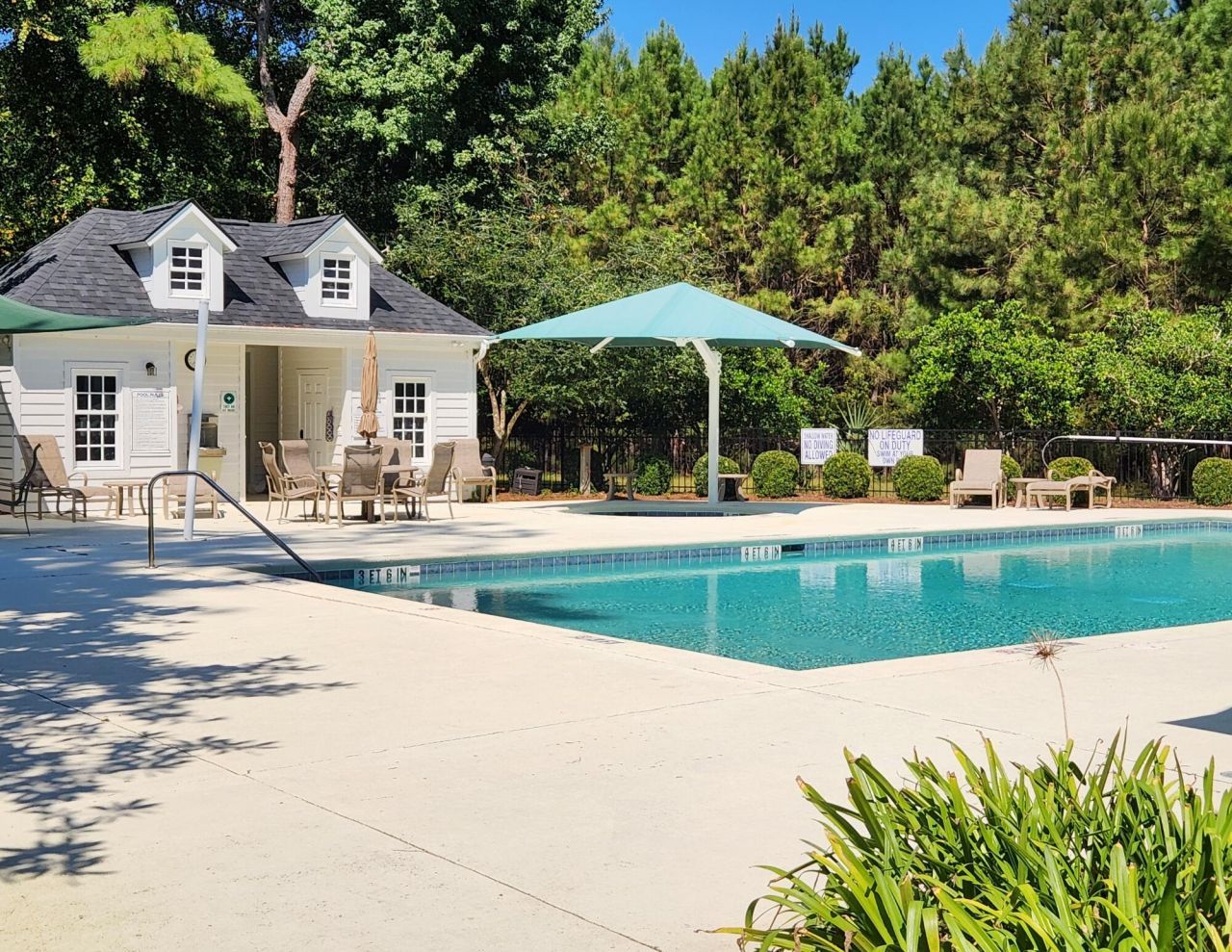 104 Palmetto Place Photo 15