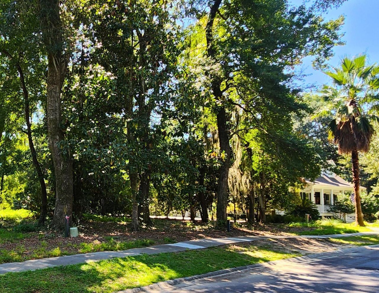 104 Palmetto Place Photo 4