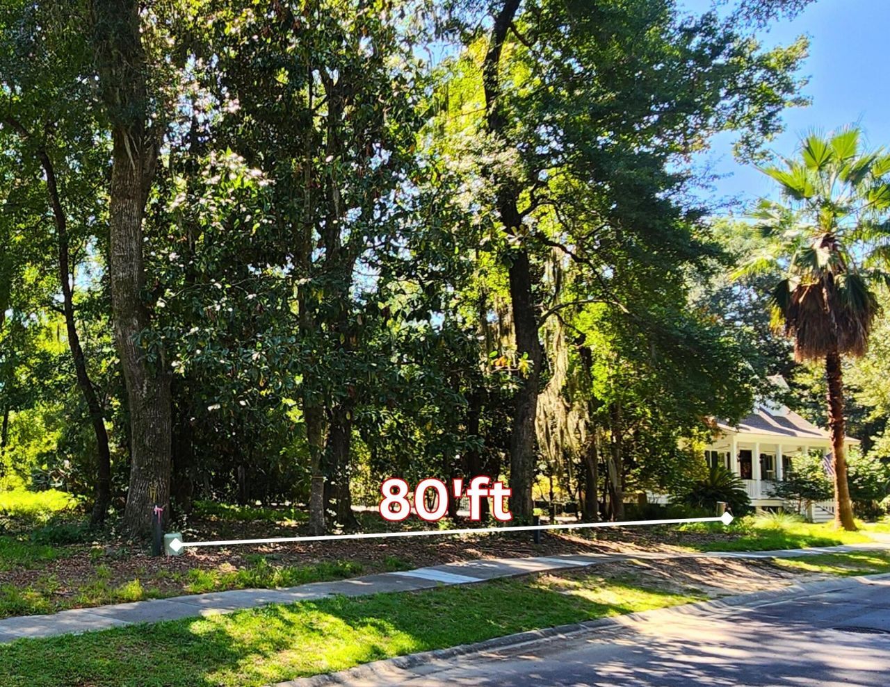 104 Palmetto Place Photo 5