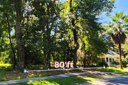 104 Palmetto Place photo 4