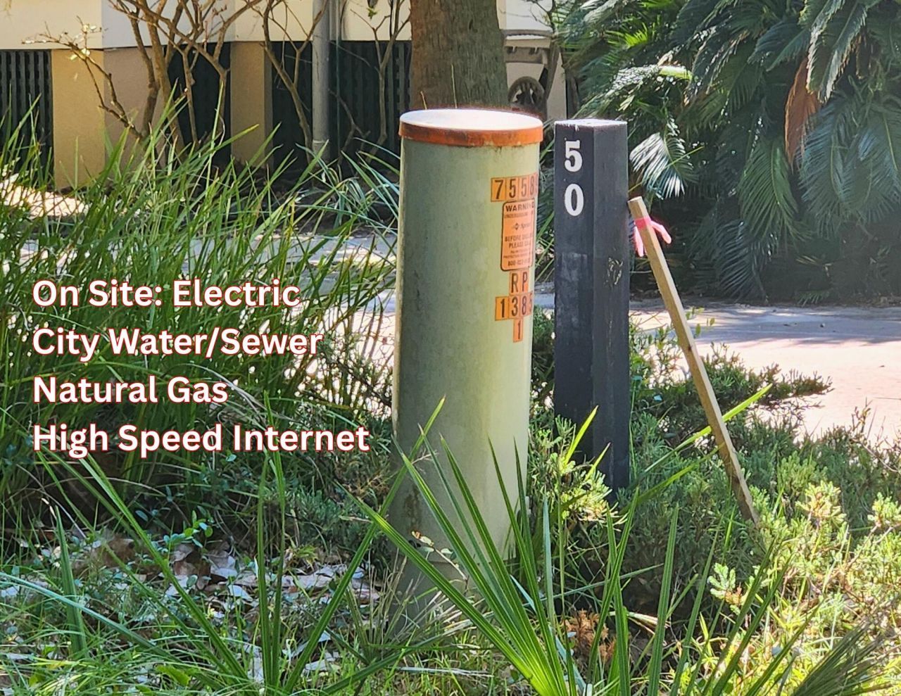 104 Palmetto Place Photo 6