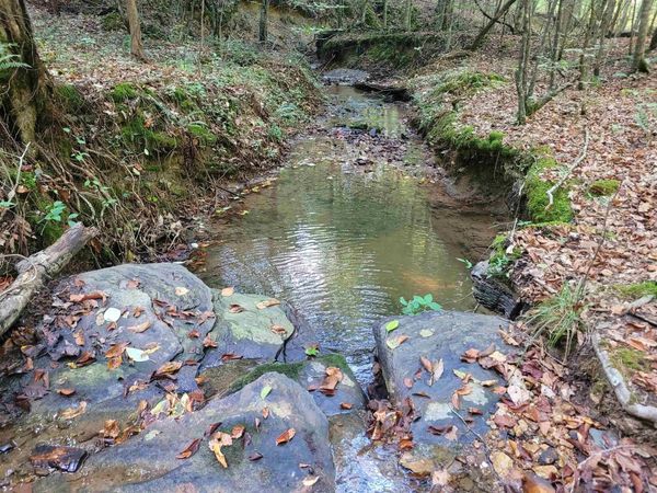 00 64 HWY, Olivehill, TN 38475