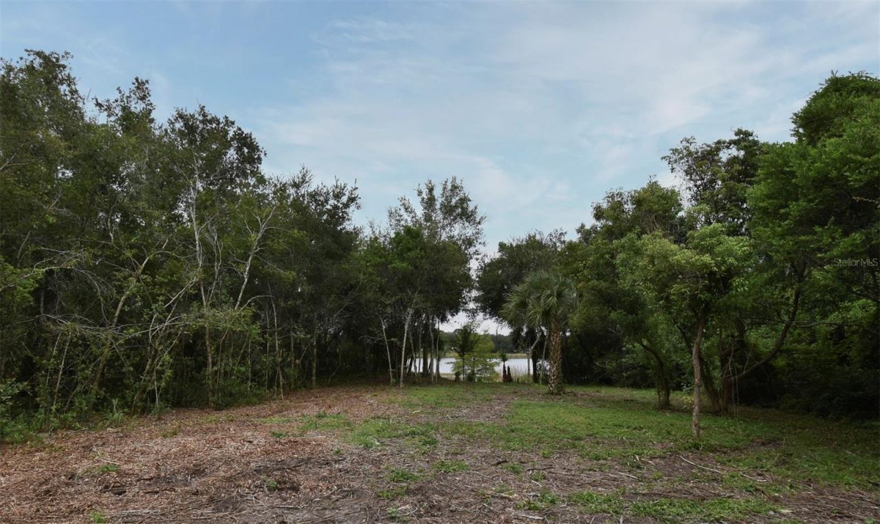 1444 Bird Road, Winter Springs, FL 32708 Photo