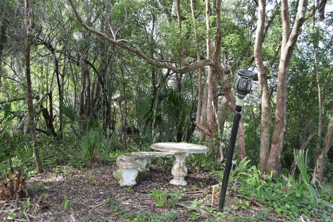 1444 Bird Road, Winter Springs, FL 32708 Photo