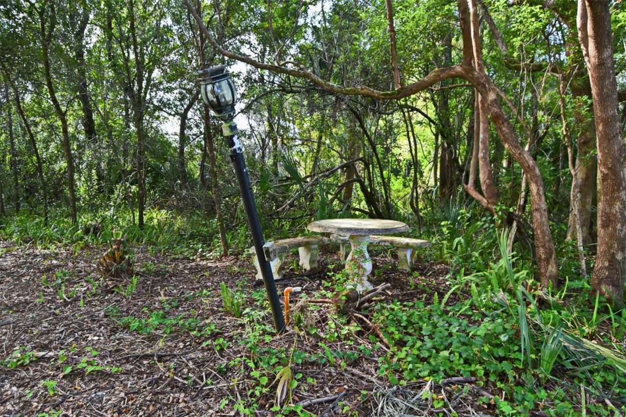 1444 Bird Road, Winter Springs, FL 32708 Photo