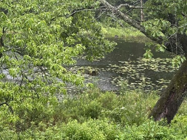 17 Prospect Mountain Road, Alton, NH 03809