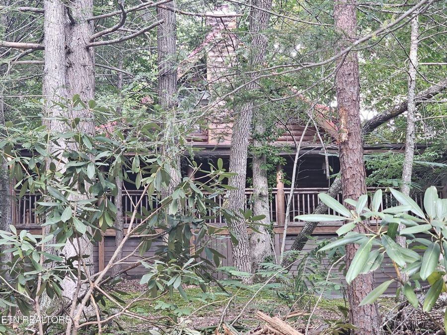 Property Image 49