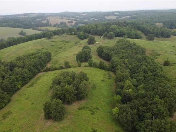 Barren Hollow, Marshall, AR 72650