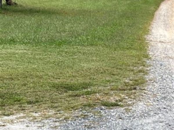 0028 Aspen Grove Road, Buckingham, VA 23901