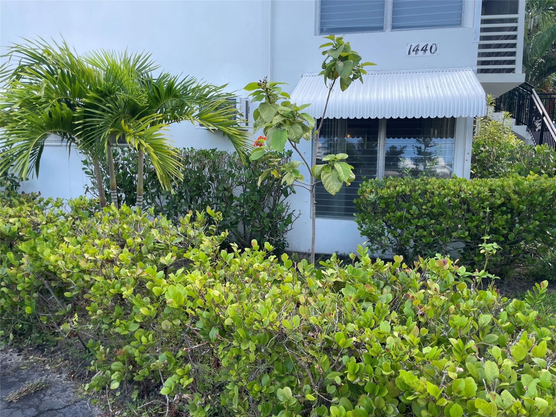 1440 SE 10th Avenue, Unit 1A, Fort Lauderdale, FL 33316 Photo