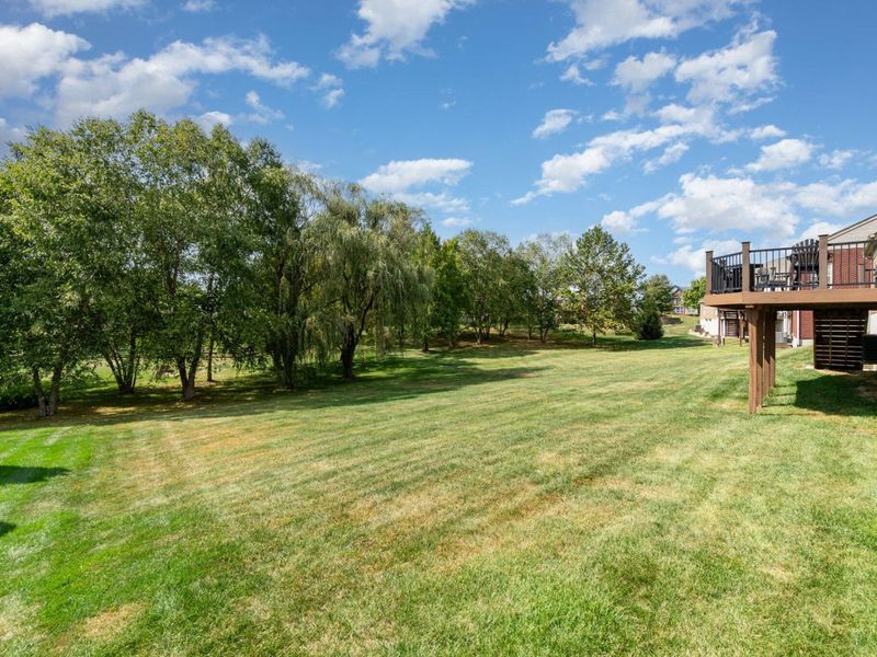 10869 Arcaro Lane, Union, KY 41091 Photo 36