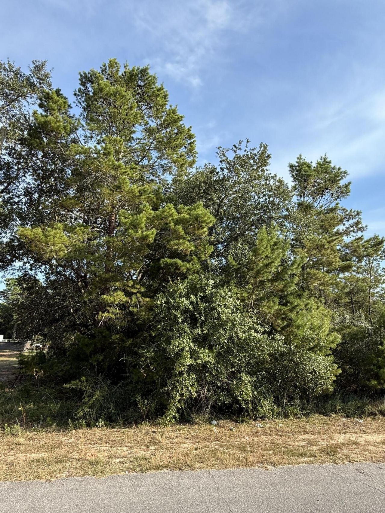 Lot 49 Congress Street, Gulf Breeze, FL 32563 Main Photo