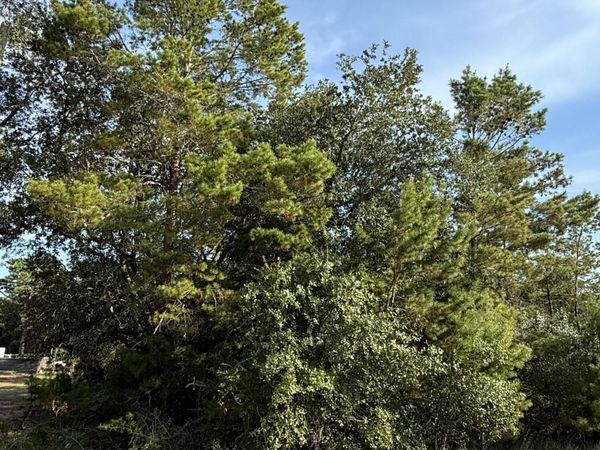 Lot 49 Congress Street, Gulf Breeze, FL 32563