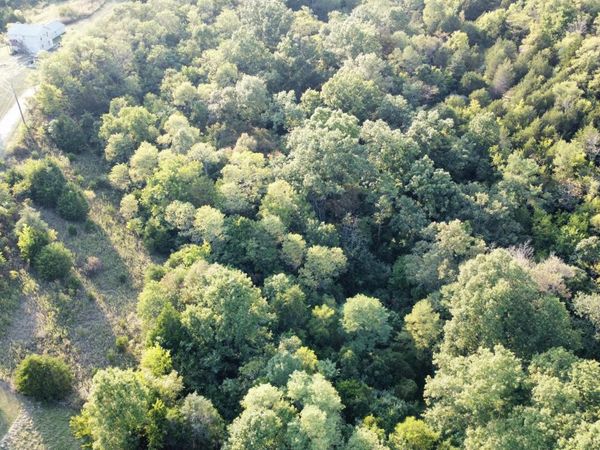 0 Jackie Lane, Unit Lot 1-2, Owenton, KY 40359