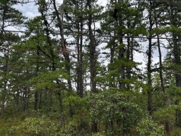 0 SAVOY BOULEVARD, CHATSWORTH, NJ 08019