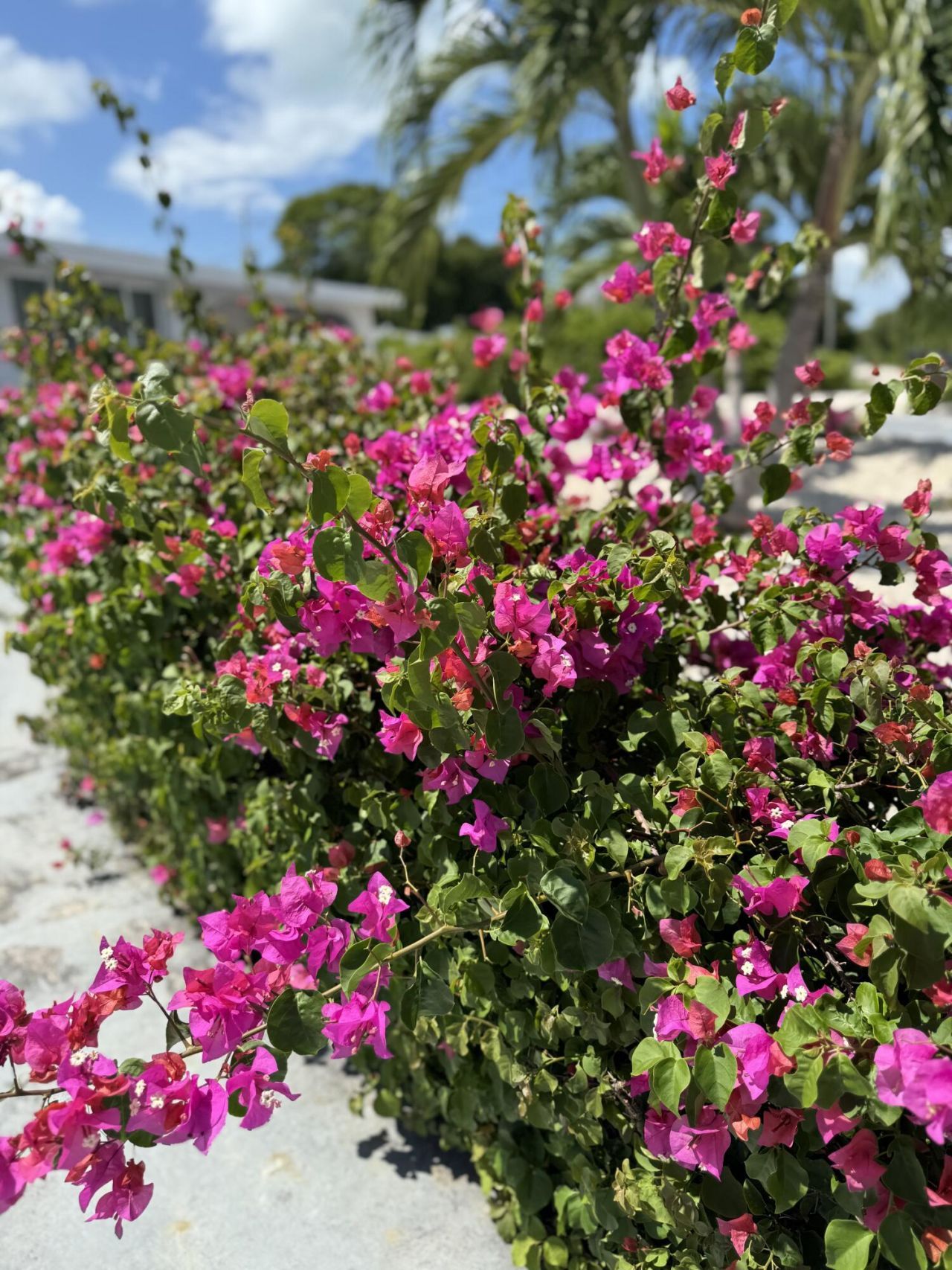 1301 Grouper Drive, Unit A, Marathon, FL 33050 Photo