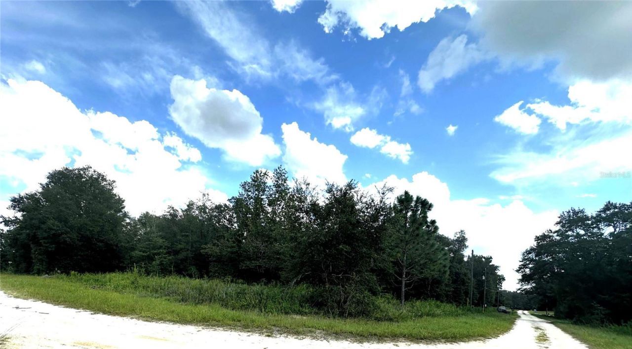 0 SW 134th Court, Dunnellon, FL 34432 Main Photo