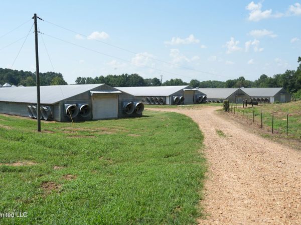 112 Old Highway 13, Lena, MS 39094
