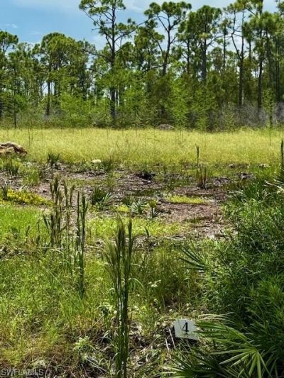 3561 Pink Ibis Dr, Saint James City, FL 33956 Photo