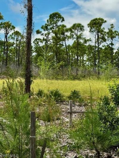 3561 Pink Ibis Dr, Saint James City, FL 33956 Photo