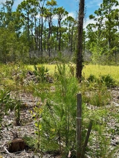 3561 Pink Ibis Dr, Saint James City, FL 33956 Photo