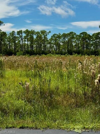 3621 Pink Ibis Dr, Saint James City, FL 33956 Photo