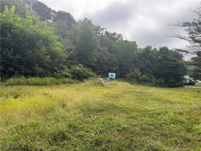 103 Horeshoe Alley, Adena, OH 43901 Photo 1