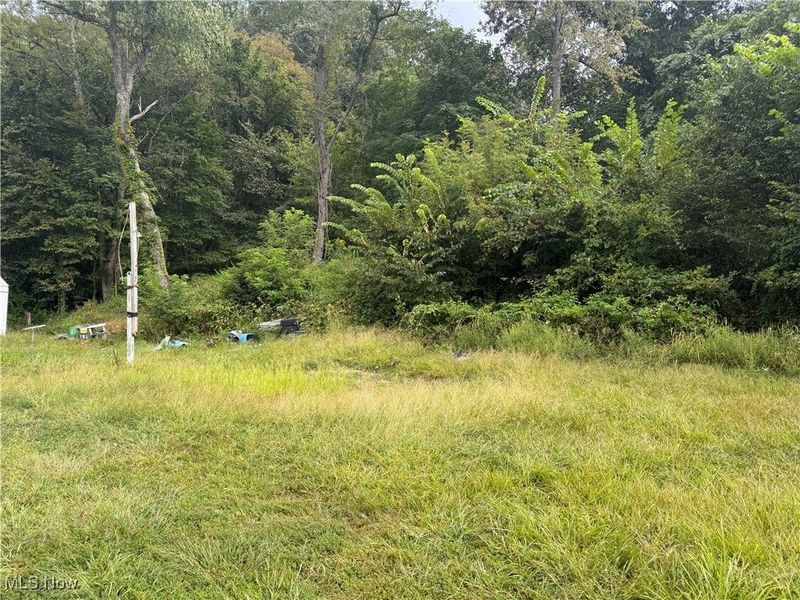 103 Horeshoe Alley, Adena, OH 43901 Photo 2