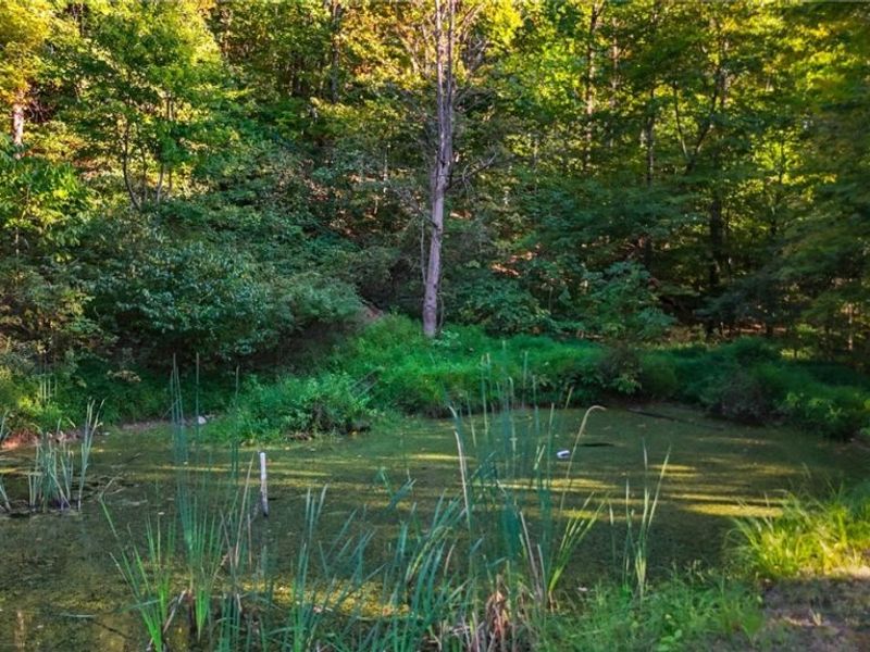 1788 Rosenbush Road, Newport, OH 45768 Photo 6