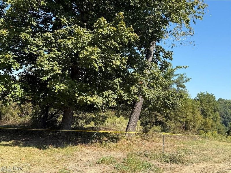 0 2nd Street, Rayland, OH 43943 Photo 2