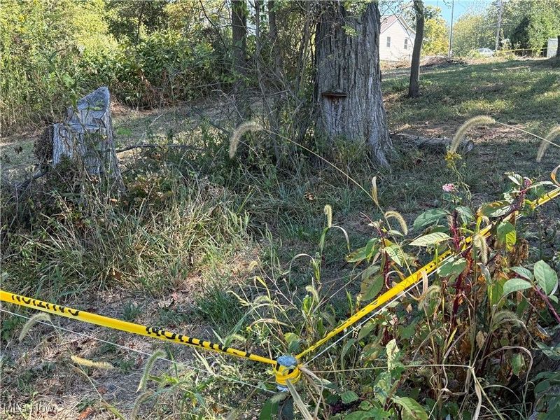 0 2nd Street, Rayland, OH 43943 Photo 4