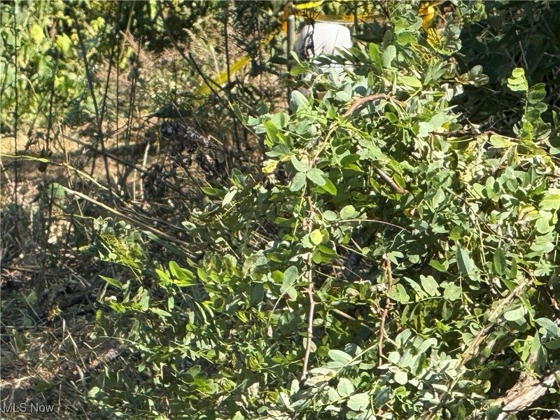 0 2nd Street, Rayland, OH 43943 Photo 5