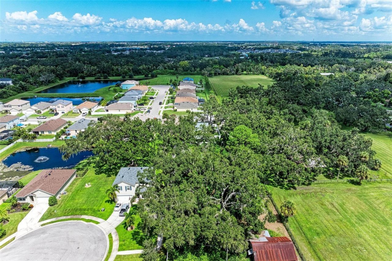 5809 71st Street E, Palmetto, FL 34221 Photo