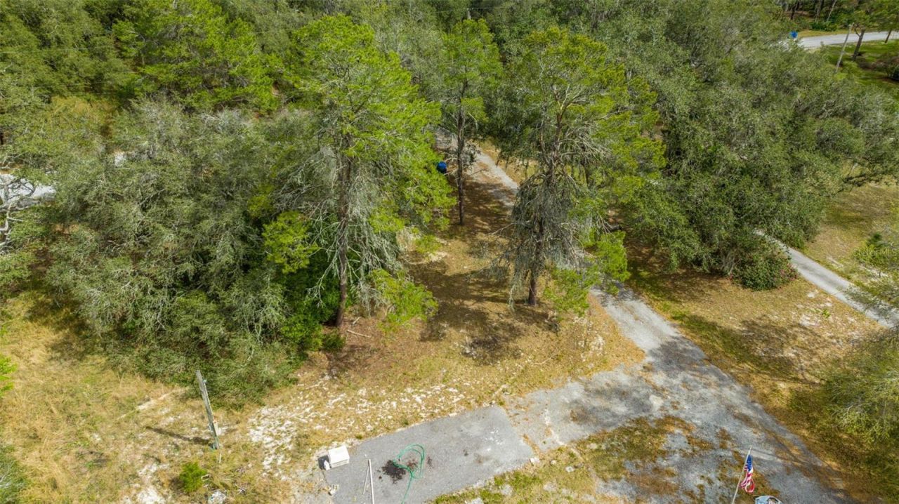 12428 Kelso Road, Thonotosassa, FL 33592 Photo