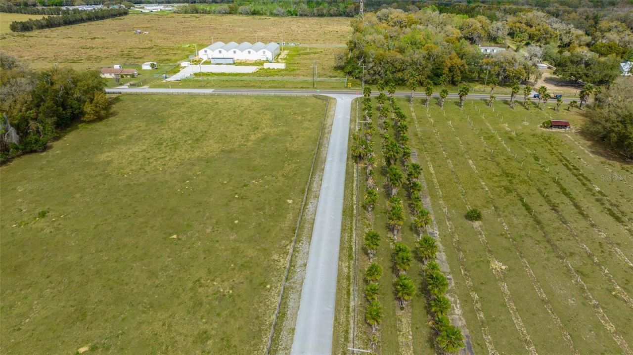 12428 Kelso Road, Thonotosassa, FL 33592 Photo