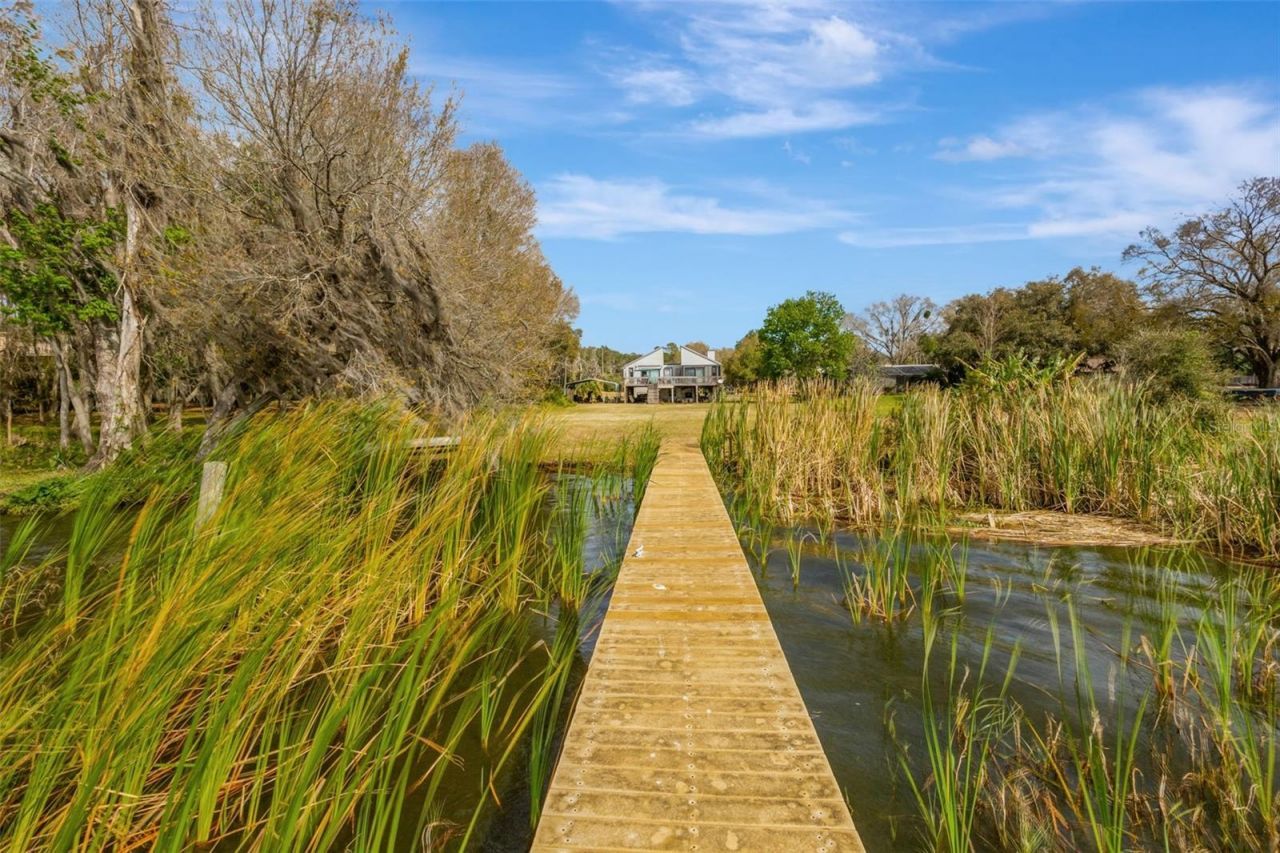 12428 Kelso Road, Thonotosassa, FL 33592 Photo