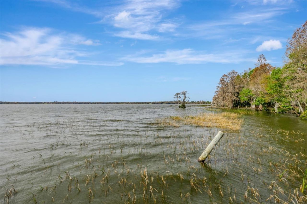 12428 Kelso Road, Thonotosassa, FL 33592 Photo