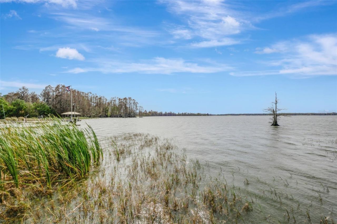 12428 Kelso Road, Thonotosassa, FL 33592 Photo