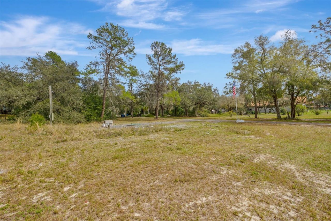 12428 Kelso Road, Thonotosassa, FL 33592 Photo