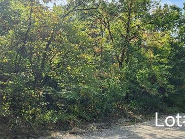 7515 Springcove Road, Lacygne, KS 66040